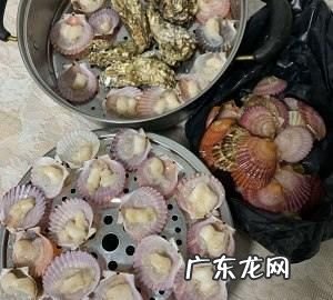 小红贝怎么清理能干净,扇贝肉怎么做好吃