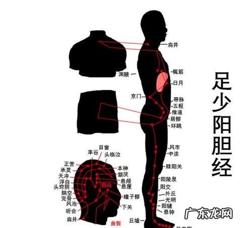 敲胆经的害处,敲胆经和肝经的好处和坏处