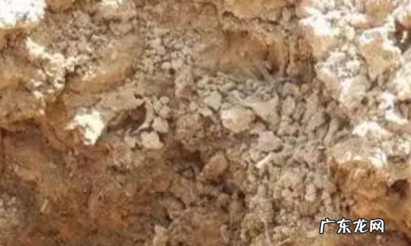 土地僵硬板结什么原因怎么办,土壤变硬或板结是由于什么引起的