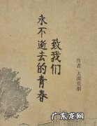 致逝去的青春什么意思,致我们逝去的青春什么意思