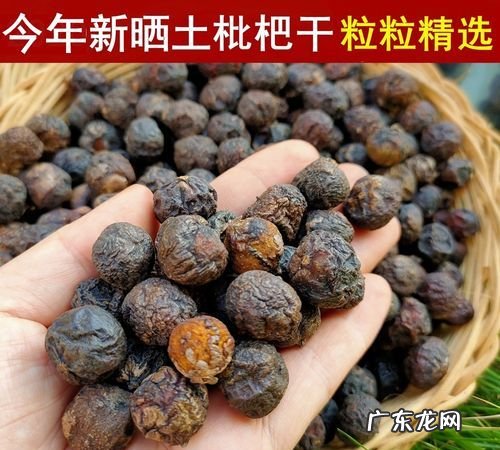 琵琶晒干可以喝,琵琶熬水干了在兑水能喝