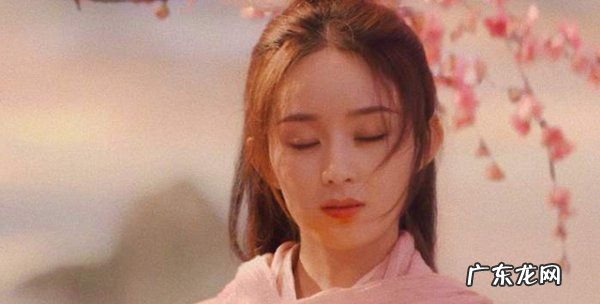赵丽颖为什么接有翡,有翡到底火了没
