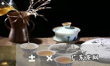 泡茶礼仪要注意哪些,女人喝茶讲究的礼仪