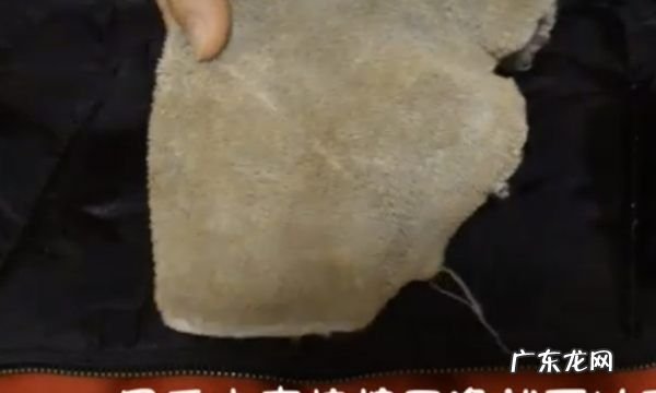 黑衣服上有白点怎么办,黑衣服发霉了怎么洗掉