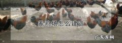 养鸡棚搭建方法,养鸡场怎么建造放养