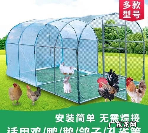 养鸡棚搭建方法,养鸡场怎么建造放养