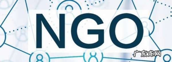 什么是ngo组织,ngo是什么意思