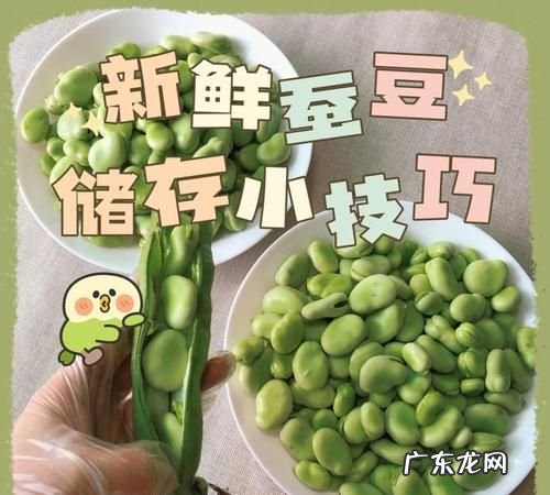 蚕豆怎样保存时间长点,蚕豆怎么保存时间长