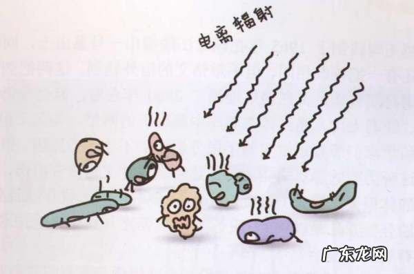 辐照食品什么意思,什么是辐照食品