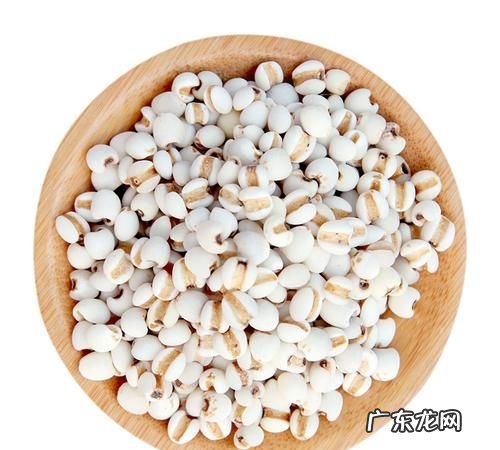 薏米为什么有股味道,薏米怎么总有一股霉味