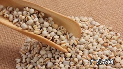 薏米为什么有股味道,薏米怎么总有一股霉味