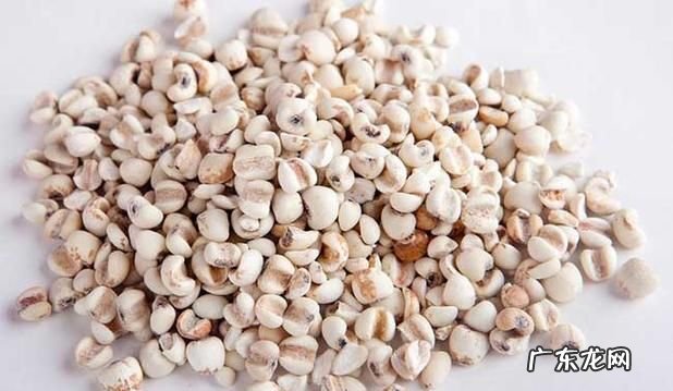 薏米为什么有股味道,薏米怎么总有一股霉味