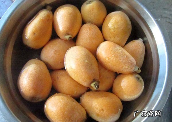 如何用枇杷做枇杷膏,自制枇杷膏怎么做