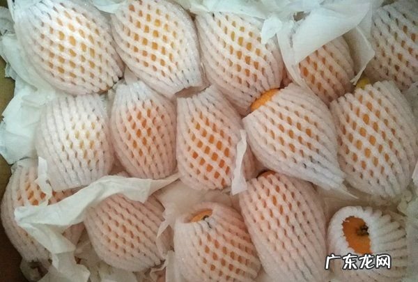 如何用枇杷做枇杷膏,自制枇杷膏怎么做