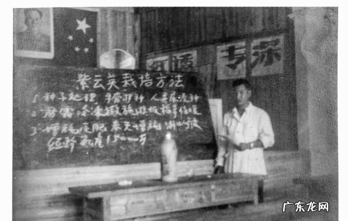 二十世纪五十年代是什么时候,20世纪50年代是多少年到哪一年