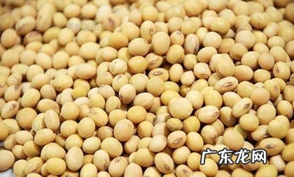 黄豆为什么叫大豆,大豆是黄豆还是花生