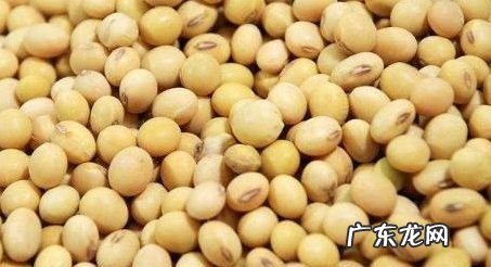 黄豆为什么叫大豆,大豆是黄豆还是花生