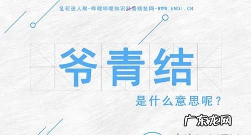 爷青结是什么,爷青结是什么意思