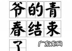 爷青结是什么,爷青结是什么意思