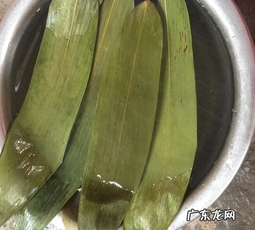 干粽子叶怎么煮,干粽叶还用煮怎么煮