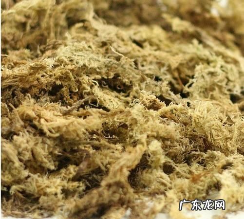 干水苔要泡多久才能复活,水苔用什么方法才能长快