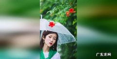 下雨天拍摄怎么保护相机,下雨天单反怎么保护