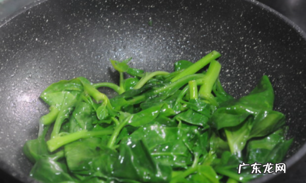 红背菜怎么做才好吃,红背菜补血 应该怎么吃