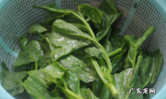 红背菜怎么做才好吃,红背菜补血 应该怎么吃