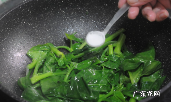 红背菜怎么做才好吃,红背菜补血 应该怎么吃