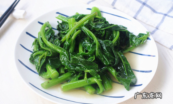 红背菜怎么做才好吃,红背菜补血 应该怎么吃