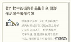 什么是摄影作品,摄影作品的著作权归属
