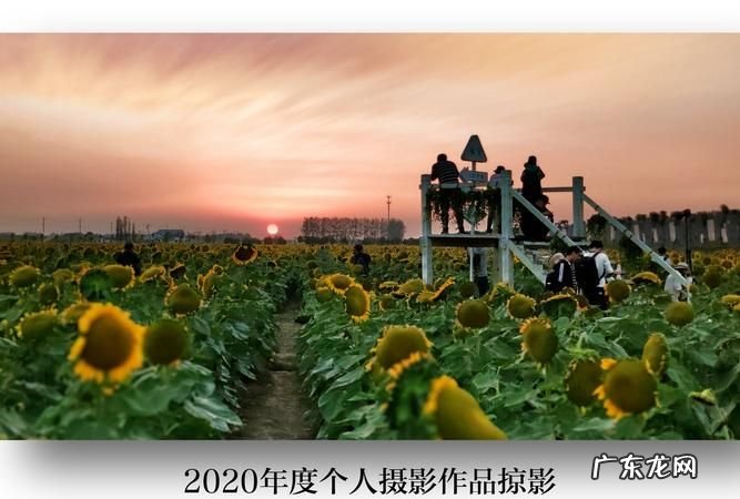 什么是摄影作品,摄影作品的著作权归属