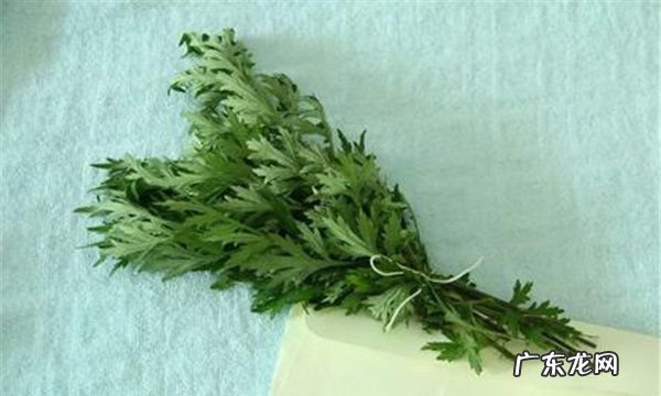 艾叶有驱蚊虫的功效,艾草有驱蚊的效果
