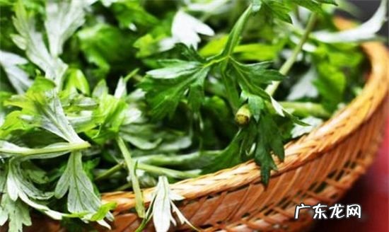 艾叶有驱蚊虫的功效,艾草有驱蚊的效果