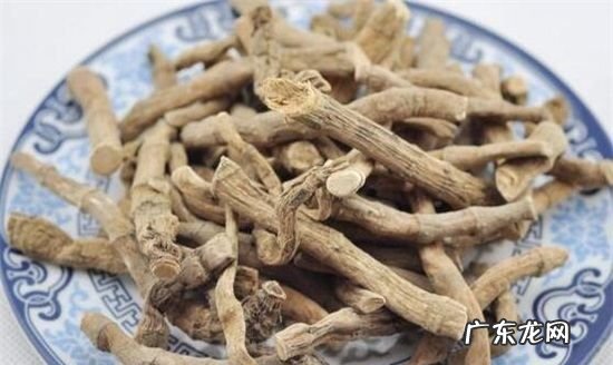 艾叶有驱蚊虫的功效,艾草有驱蚊的效果