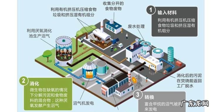 垃圾如何处理,常见的处理垃圾的方法有哪些