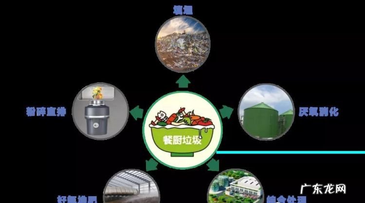 垃圾如何处理,常见的处理垃圾的方法有哪些