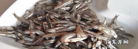 小鱼仔有苦味怎么去掉,小嫩仔鱼有苦味怎么做才不会有苦味小鱼总是有苦味怎么办
