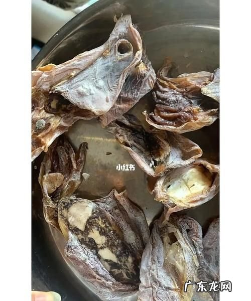 干墨鱼发霉怎么鉴定,干墨鱼怎么才算发霉