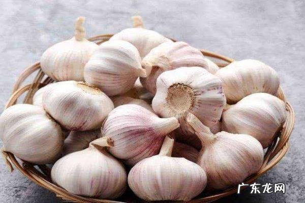 大蒜保存方法,保存大蒜的最佳方法