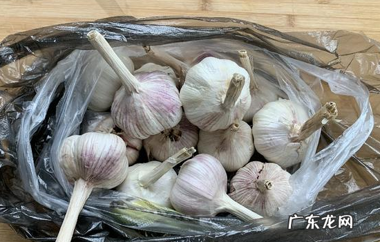 大蒜保存方法,保存大蒜的最佳方法