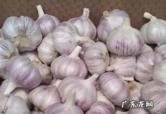 大蒜保存方法,保存大蒜的最佳方法