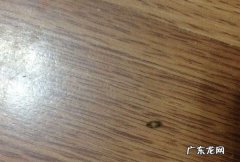 菜板上有小虫子是怎么回事,菜板有细小白虫是粉螨