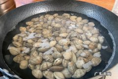 花蛤吐沙子要多长时间,花蛤吐沙要多久