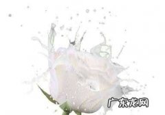 牛奶有哪些妙用,牛奶有哪些妙用多选