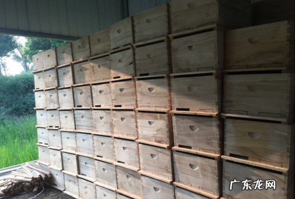 意蜂箱怎么摆放,蜂箱一般放在什么位置比较好