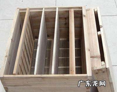 意蜂箱怎么摆放,蜂箱一般放在什么位置比较好