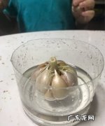 大蒜大蒜防止发芽,如何防止大蒜发芽