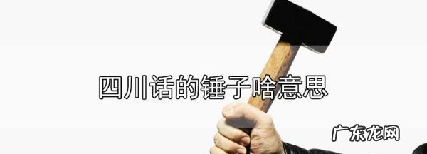 四川说的锤子什么意思,四川的话怎么说