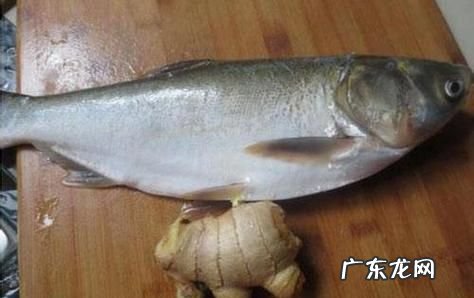鲢鱼的营养价值及功效,白鲢鱼有什么营养价值